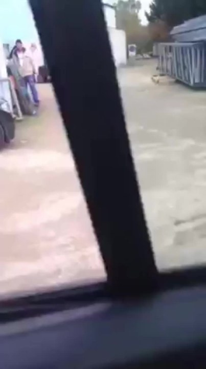 test tiktok